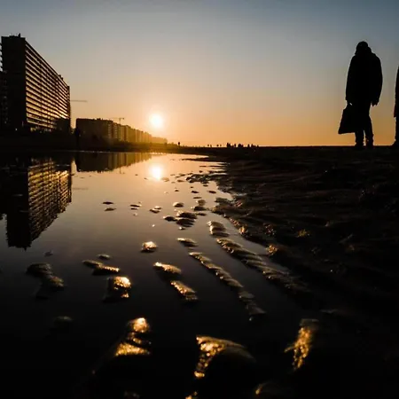In Near The Ostende